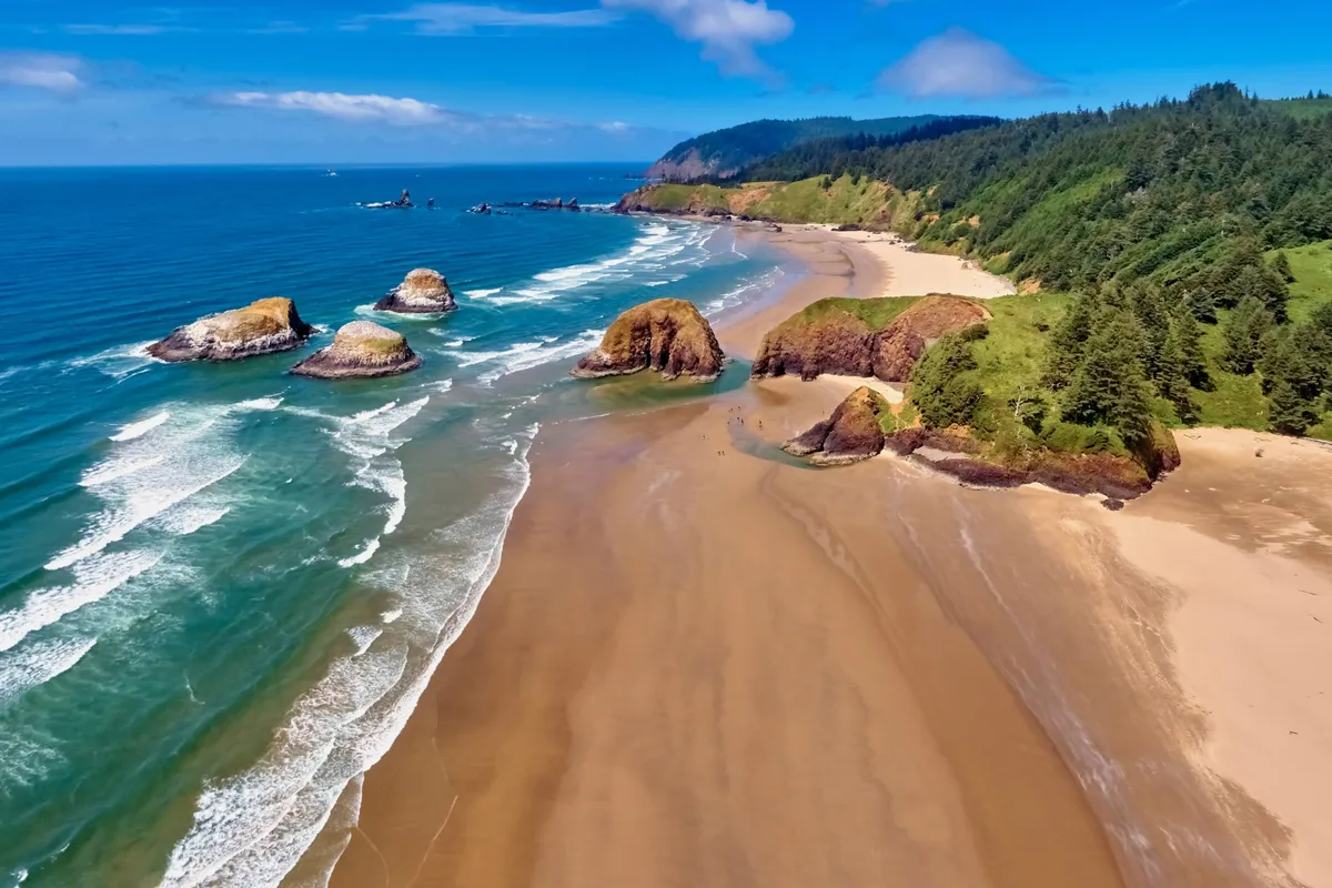 A sweeping view of a sandy beach bordered by striking rock formations, rolling ocean waves, and lush greenery along the coastline. The expansive shoreline invites outdoor exploration and play, with ample open space for beach walks, fetch, and relaxation.