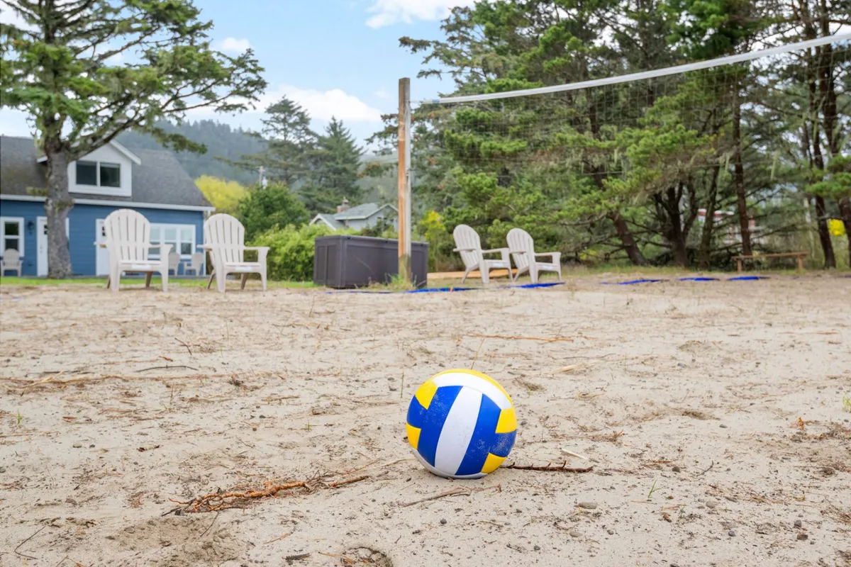 A sand volleyball court with volleyball and net, surrounded by tall trees and Adirondack chairs for relaxing. The area radiates a carefree, playful atmosphere, suggesting space for dogs to romp and families to gather outdoors.